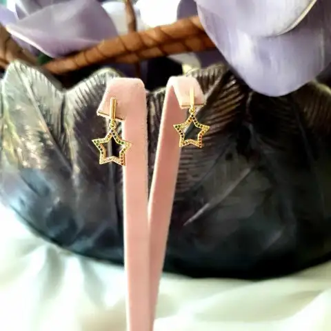 Multi Color Yıldız Küpe