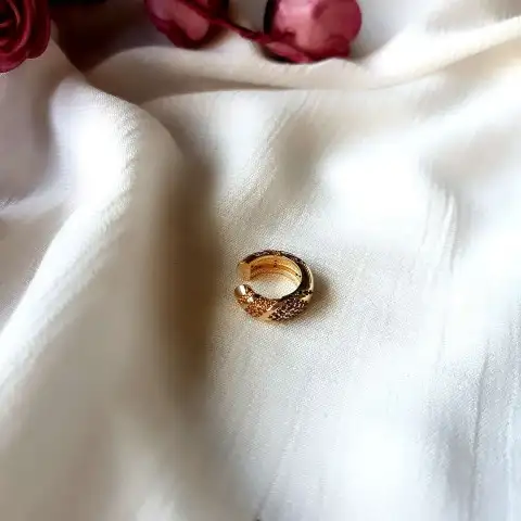 Multi Color Kıkırdak Küpe 