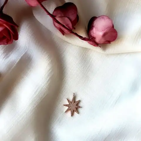 Kutup Yıldızı Uç