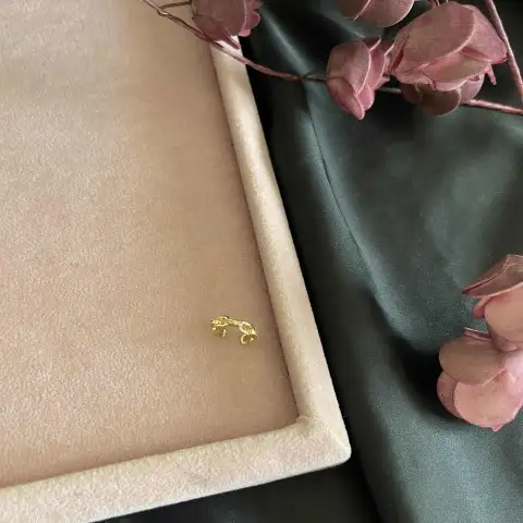 gold taş sıralı kıkırdak küpe